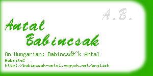 antal babincsak business card